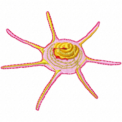 Seashell Embroidery Design 1 Seashell Embroidery Design 1